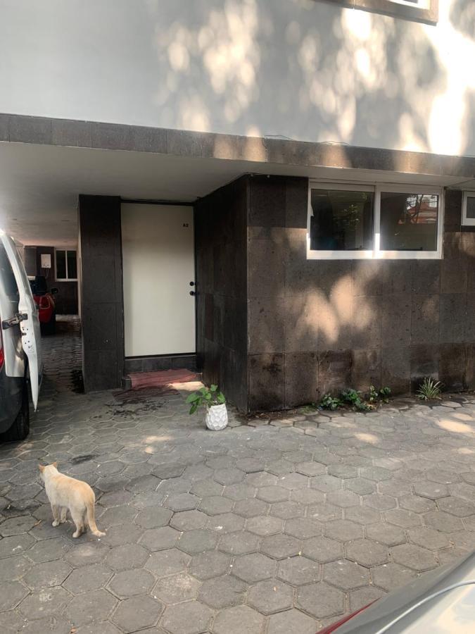 Coyoacan Magico Città del Messico Esterno foto