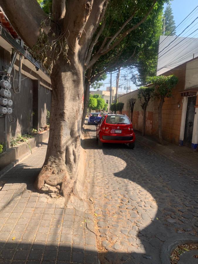 Coyoacan Magico Città del Messico Esterno foto